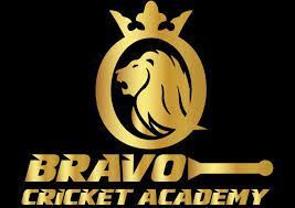 Bravo Cricket Academy